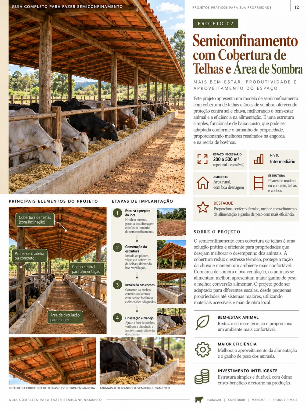 Página do guia: Projeto 02, semiconfinamento com cobertura de telhas e área de sombra