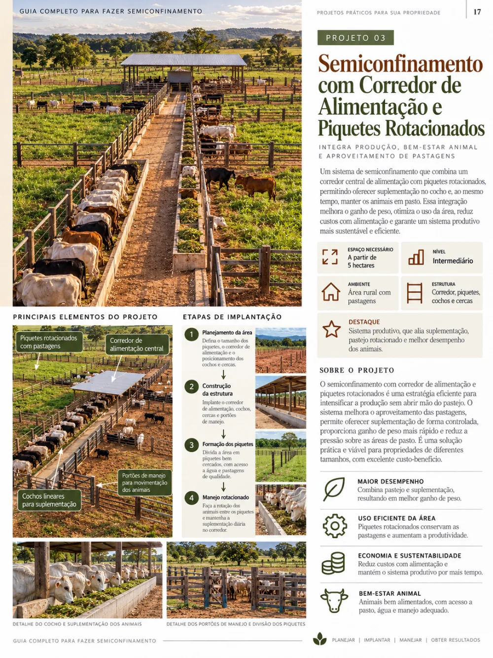 Página do guia: Projeto 03, semiconfinamento com corredor de alimentação e piquetes rotacionados